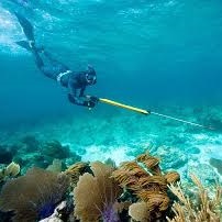 spear fishing